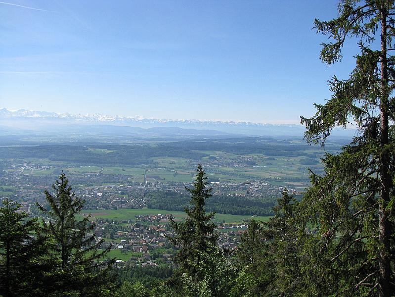 2009-05_Weissenstein 027.jpg